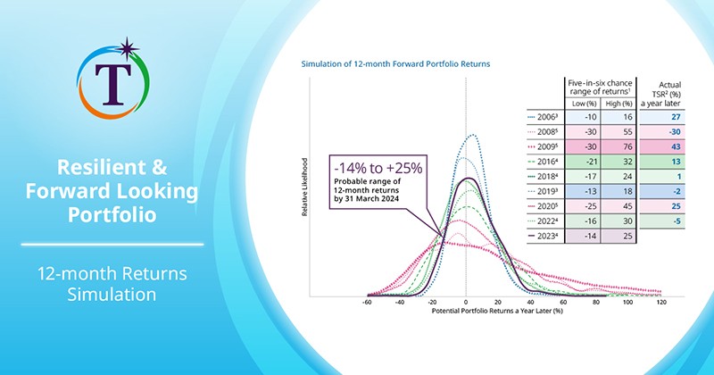 12-month Returns Simulation