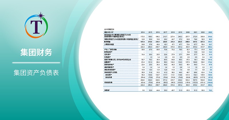 集团资产负债表