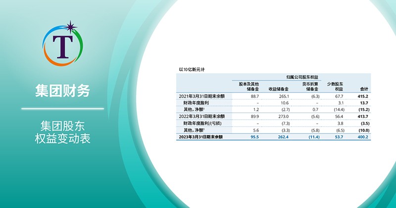 集团股东权益变动表