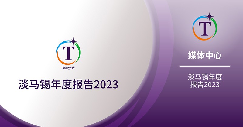 淡马锡年度报告2023