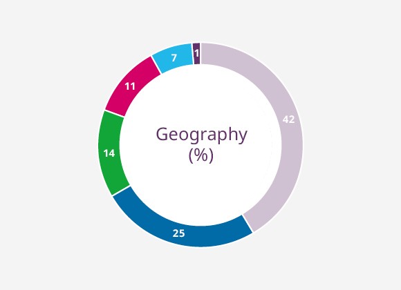 Early Stage Portfolio by Geography (%)