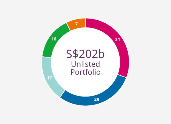 Unlisted Portfolio (%)