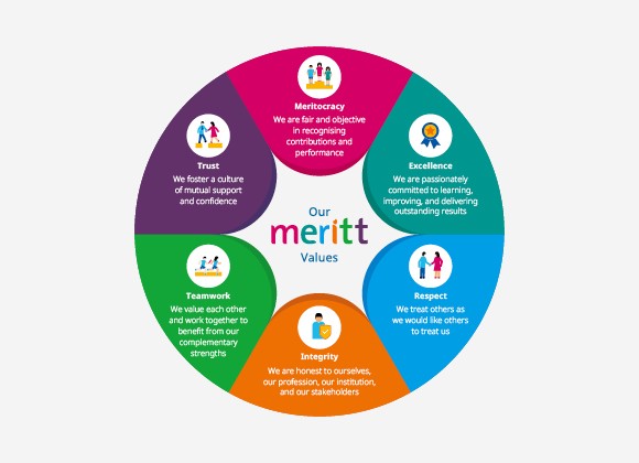 Our MERITT Values