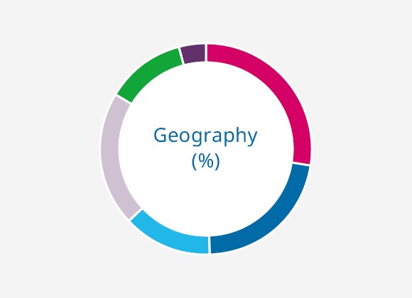 Geography (%)