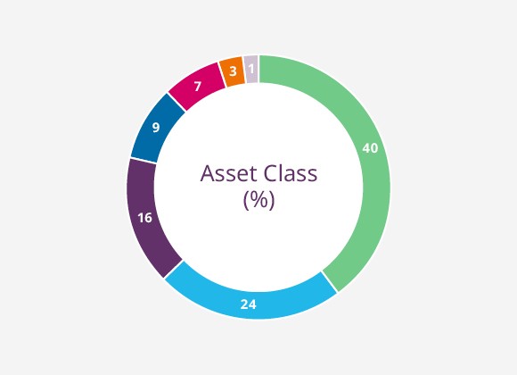 Global Direct Investments by Asset Class (%)