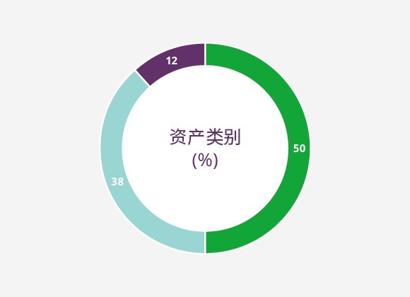 按资产类别划分早期投资组合 (%)