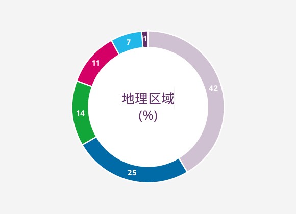 按地理区域划分早期投资组合 (%)