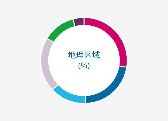 地理区域 (%)