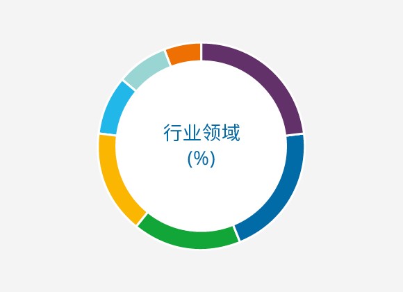 行业领域 (%)