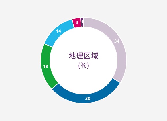 按地理区域划分全球直接投资 (%)